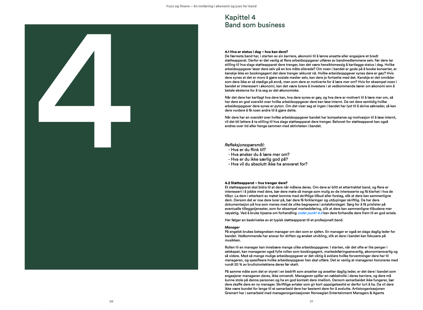 Fuzz og finans (E-bok)